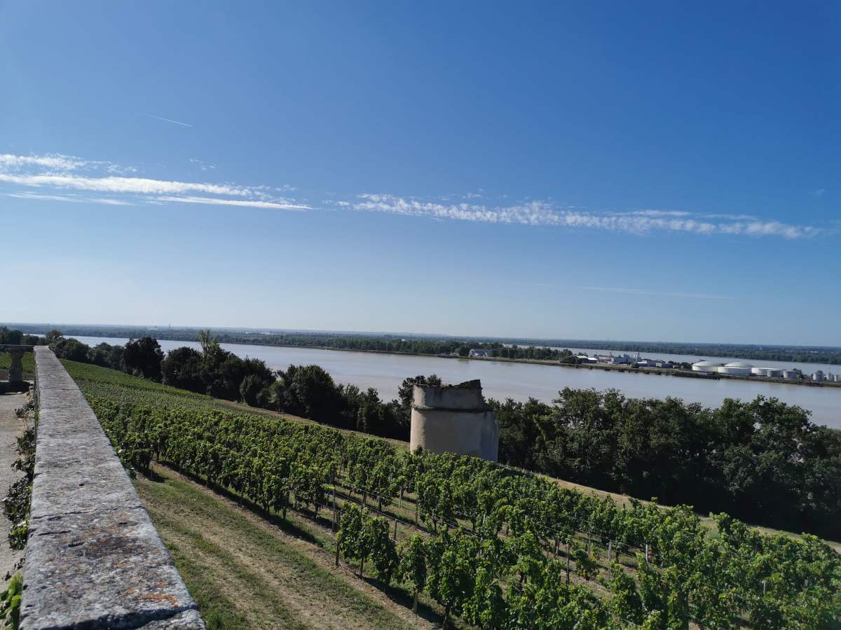 L&rsquo;estuaire de la Gironde&nbsp;(magnifique)
